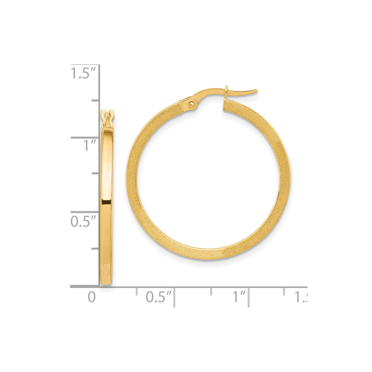 10k Yellow Gold Hoop Earrings, Lightweight Brushed Texture with Smooth Finish, Classic Round Style