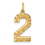 10k Yellow Gold Number 2 Pendant, Textured and Polished Unisex Charm