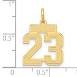 Small Satin Number 23 Charm Pendant in Real 10k Yellow Gold