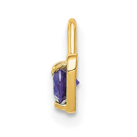 10k Yellow Gold Heart Pendant with Synthetic Purple Birthstone, Romantic Jewelry for Women