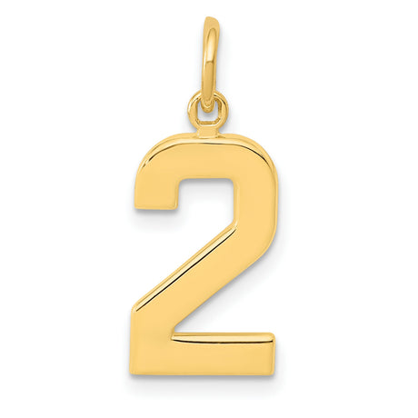 10k Yellow Gold Number 2 Pendant Charm, Polished Numerical Jewelry for Men or Women
