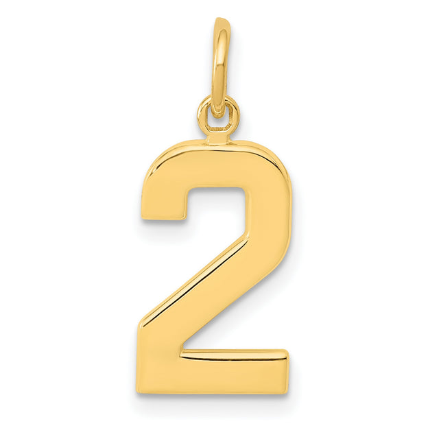 10k Yellow Gold Number 2 Pendant Charm, Polished Numerical Jewelry for Men or Women