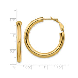 10k Yellow Gold Hoop Earrings with Omega Back, Classic Polished Lightweight Design for Women