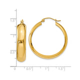 10k Yellow Gold Hoop Earrings, Polished Round Lightweight Classic Style for Women