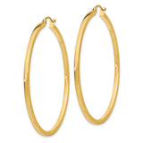 10k Yellow Gold Hoop Earrings, Classic Polished Round Design, Medium Size Minimalist Style