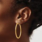 10k Yellow Gold Hoop Earrings, Classic Round Design with Latch Back Closure, Lightweight and Minimalist