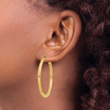10k Yellow Gold Hoop Earrings, Classic Polished Round Design, Lightweight Medium Size for Women