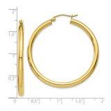 10k Yellow Gold Hoop Earrings, Classic Polished Round Design, Lightweight Medium Size for Women