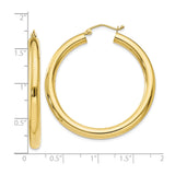 10k Yellow Gold Hoop Earrings, Classic Round Design with Latch Back Closure, High Polish Finish