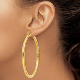 10k Yellow Gold Hoop Earrings, Medium to Large Polished Round Lightweight Design for Women