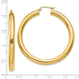 10k Yellow Gold Hoop Earrings, Classic Lightweight Round Design, Polished Finish