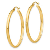 10k Yellow Gold Hoop Earrings, Classic Lightweight Round Design, Minimal Modern Style