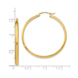 10k Yellow Gold Hoop Earrings, Classic Lightweight Round Design, Minimal Modern Style
