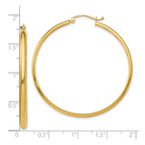 10k Yellow Gold Hoop Earrings, Classic Round Polished Design, Lightweight Minimalist Style