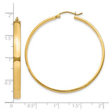 10k Yellow Gold Hoop Earrings, Large Polished Round Style, Minimalist Design for Women