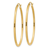 10k Yellow Gold Hoop Earrings, Classic Round Lightweight Design for Women