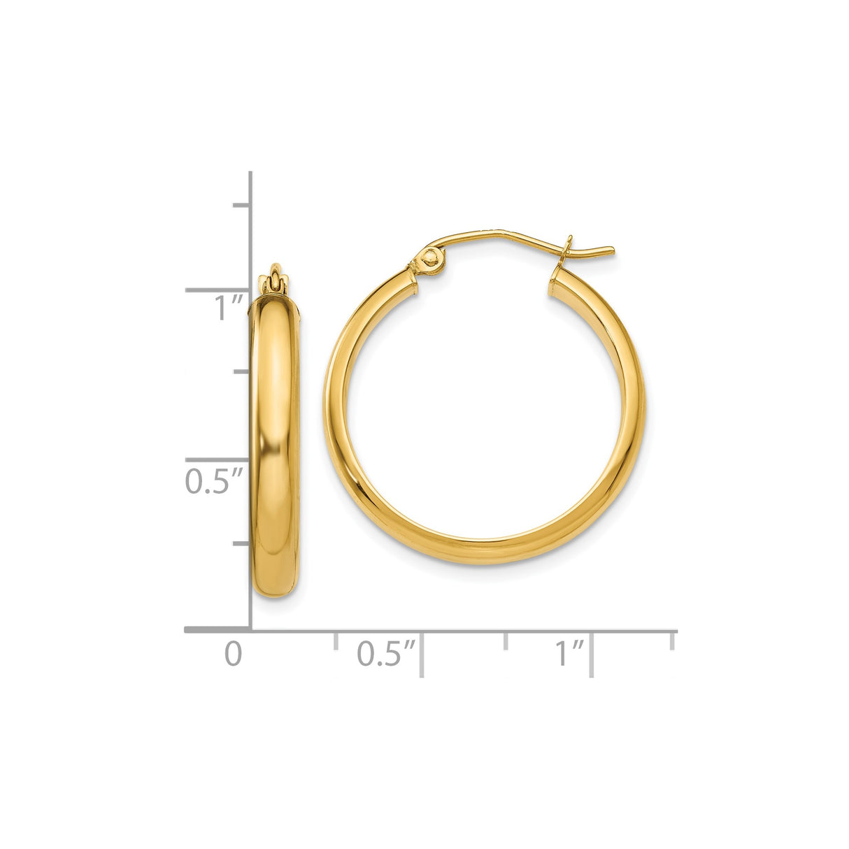 10k Yellow Gold Hoop Earrings, Polished Round Medium Hoops with Hinged Back Closure
