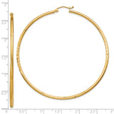 10k Yellow Gold Hoop Earrings, Large Lightweight Design with Polished Finish and Leaf Accents