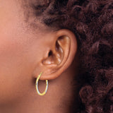 10k Yellow Gold Hoop Earrings, Diamond Cut Two Tone Round Design with Rhodium Finish