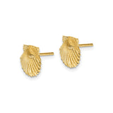 10k Yellow Gold Scallop Shell Stud Earrings, Coastal Nautical Style for Women