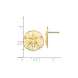 10k Yellow Gold Sand Dollar Stud Earrings with Textured Coastal Design for Women