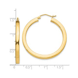 10k Yellow Gold Hoop Earrings, Round Lightweight Design, High-Polish Classic Style for Women