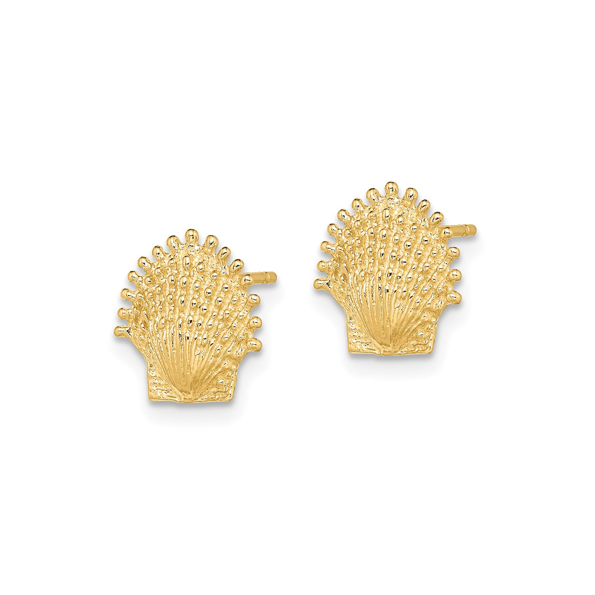 10k Yellow Gold Seashell Stud Earrings, Textured Scallop Shell Design, Nautical Summer Style