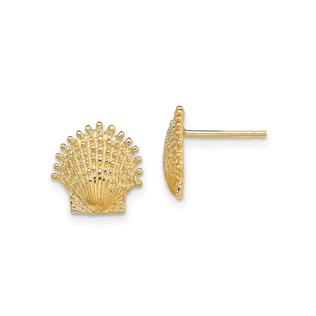 10k Yellow Gold Seashell Stud Earrings, Textured Scallop Shell Design, Nautical Summer Style