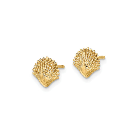 10k Yellow Gold Stud Earrings with Scallop Seashell Design, Ocean-Inspired Coastal Style