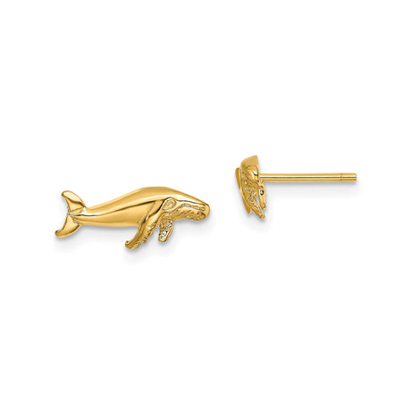 10k Yellow Gold Whale Stud Earrings with Humpback Whale Design, Ocean Inspired Jewelry
