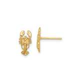 10k Yellow Gold Lobster Stud Earrings, Nautical Coastal Theme Jewelry for Women or Unisex