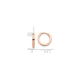 10k Rose Gold Hoop Earrings, Polished Lightweight Small Hoops with Hinged Snap Closure