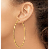 10k Yellow Gold Hoop Earrings, Classic Minimalist Round Design, Polished Lightweight Style for Women