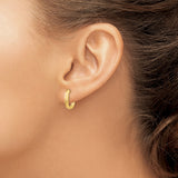 10k Yellow Gold Oval Hoop Earrings, Smooth Polished Finish, Hinged Closure, Lightweight Design