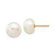 10k Yellow Gold Stud Earrings with Round White Cultured Pearls, Classic Design for Women