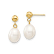 10k Yellow Gold Dangle Earrings with Freshwater Cultured Pearls, Drop Design for Women