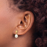 10k Yellow Gold Dangle Earrings with White Cultured Freshwater Pearls, Classic Drop Design