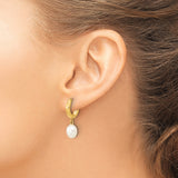 10k Yellow Gold Hoop Drop Earrings with White Freshwater Pearls, Classic Dangle Style for Women