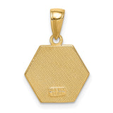 10k Yellow Gold Medical ID Pendant with Red Star of Life and Caduceus Symbol, Hexagon Shape
