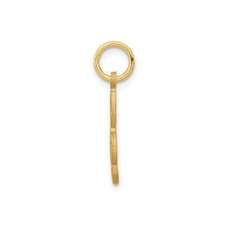 10k Yellow Gold Treble Clef Pendant, Polished and Textured Music Note Charm
