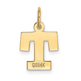 10k Yellow Gold Tau Cross Pendant, Saint Francis Religious Charm for Men and Women
