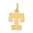 10k Yellow Gold Tau Cross Pendant, Saint Francis Religious Charm for Men and Women