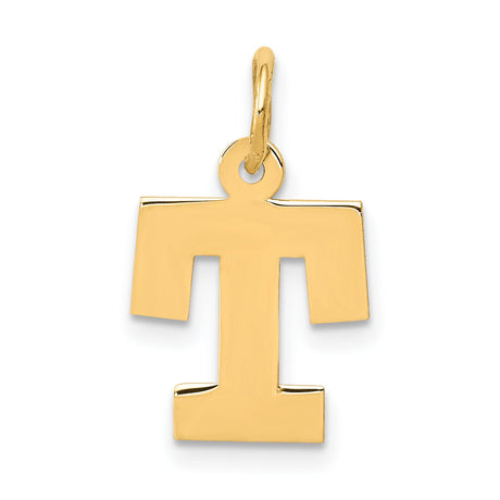 10k Yellow Gold Tau Cross Pendant, Saint Francis Religious Charm for Men and Women