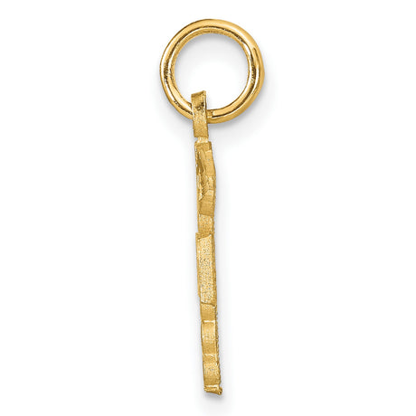 10k Yellow Gold RN Pendant with Caduceus Symbol, Nursing Profession Charm