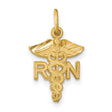 10k Yellow Gold RN Pendant with Caduceus Symbol, Nursing Profession Charm