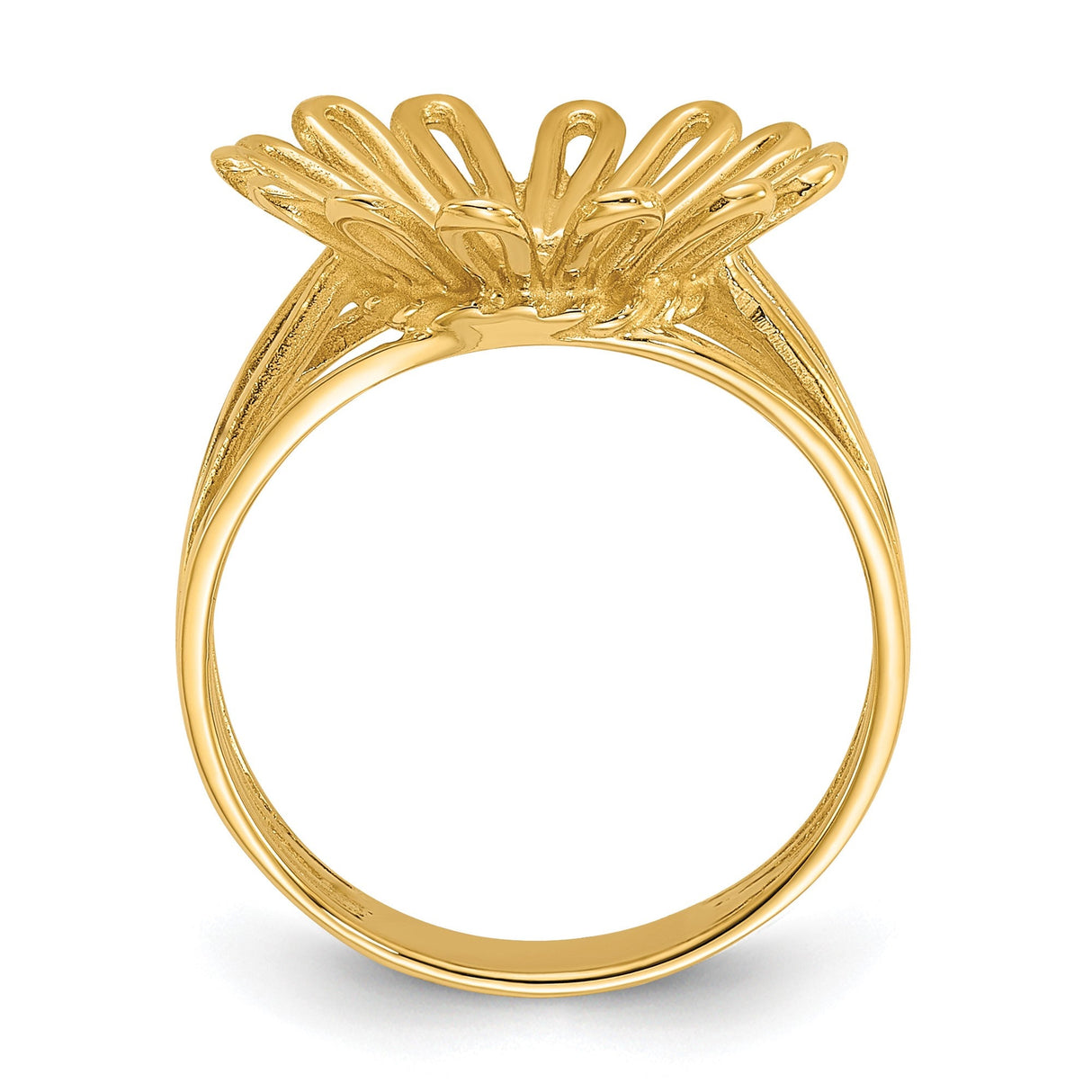 17 mm 14k Yellow Gold coin bezel for 16.5 mm Coin — alternate view