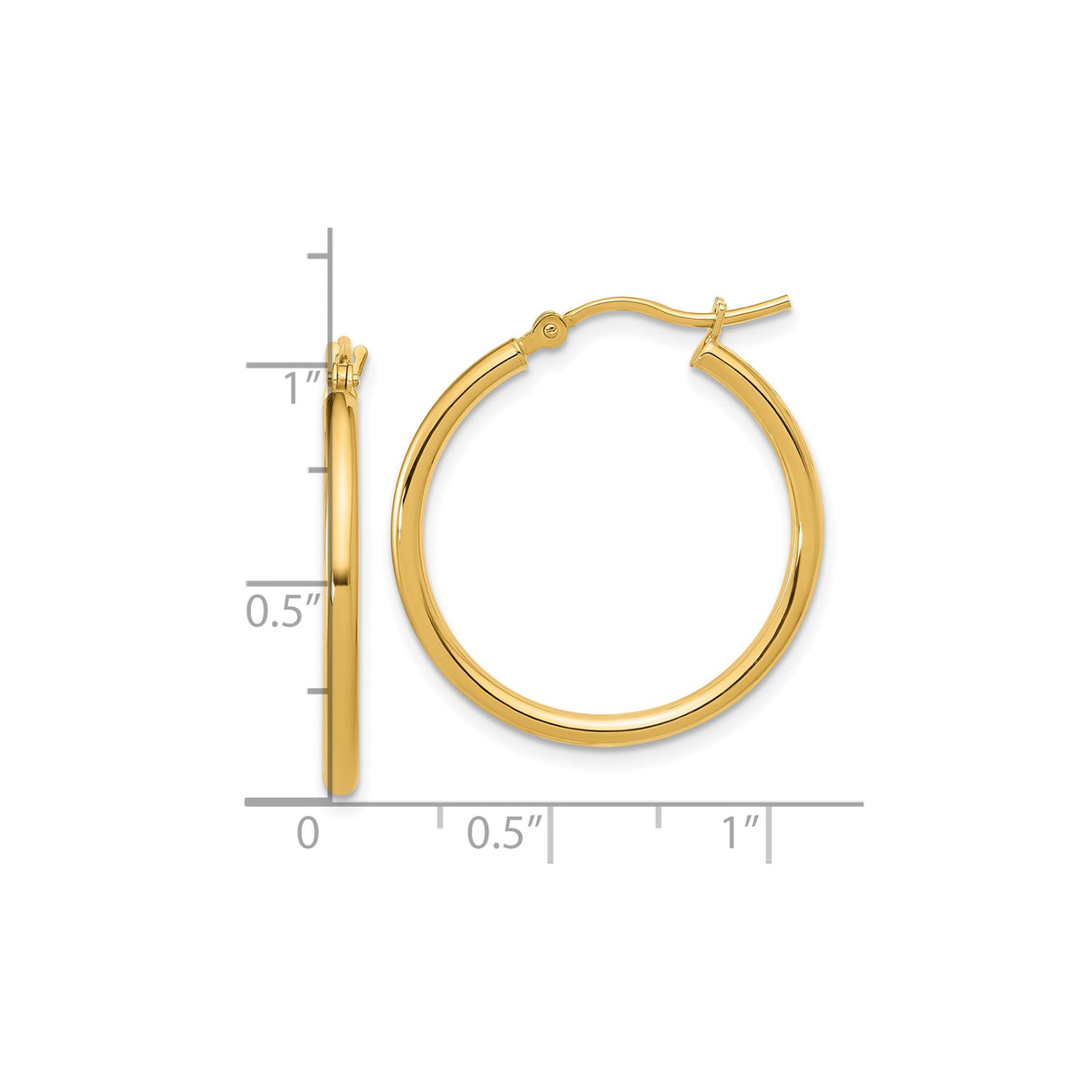 14k Yellow Gold Hoop Earrings, Polished Classic Round Medium Lightweight Design for Women