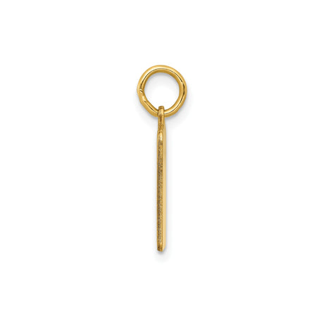 14k Yellow Gold Birth Certificate Charm Pendant with Blue Enamel Accents and Engraving Sections