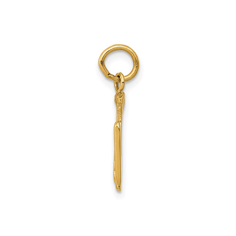 14k Yellow Gold RN Caduceus Pendant , Registered Nurse Charm with Medical Symbol