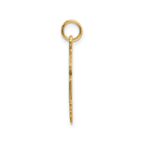14k Yellow Gold MD Caduceus Pendant, Medical Doctor Symbol Charm for Men and Women